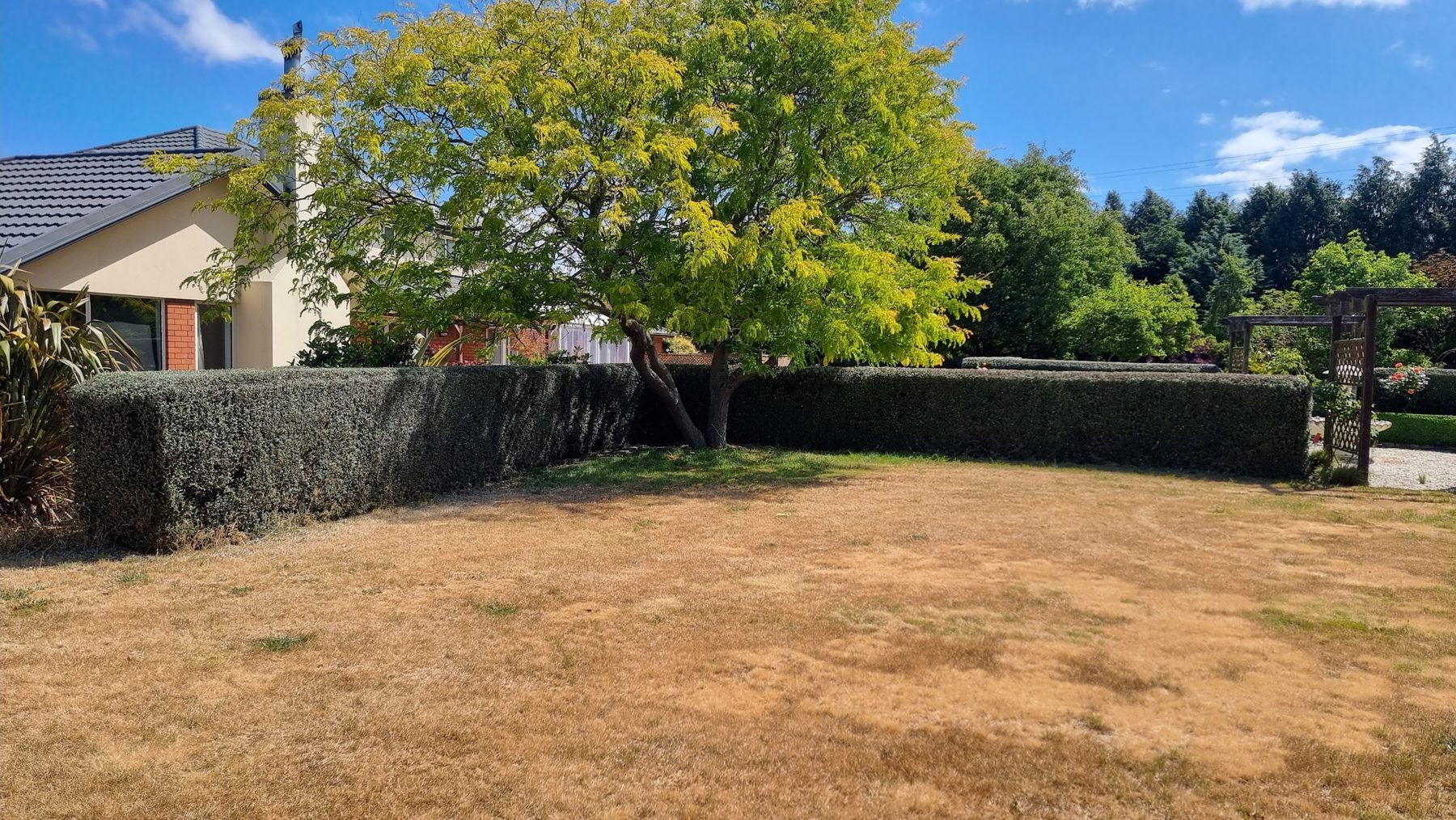 Completed garden landscaping project