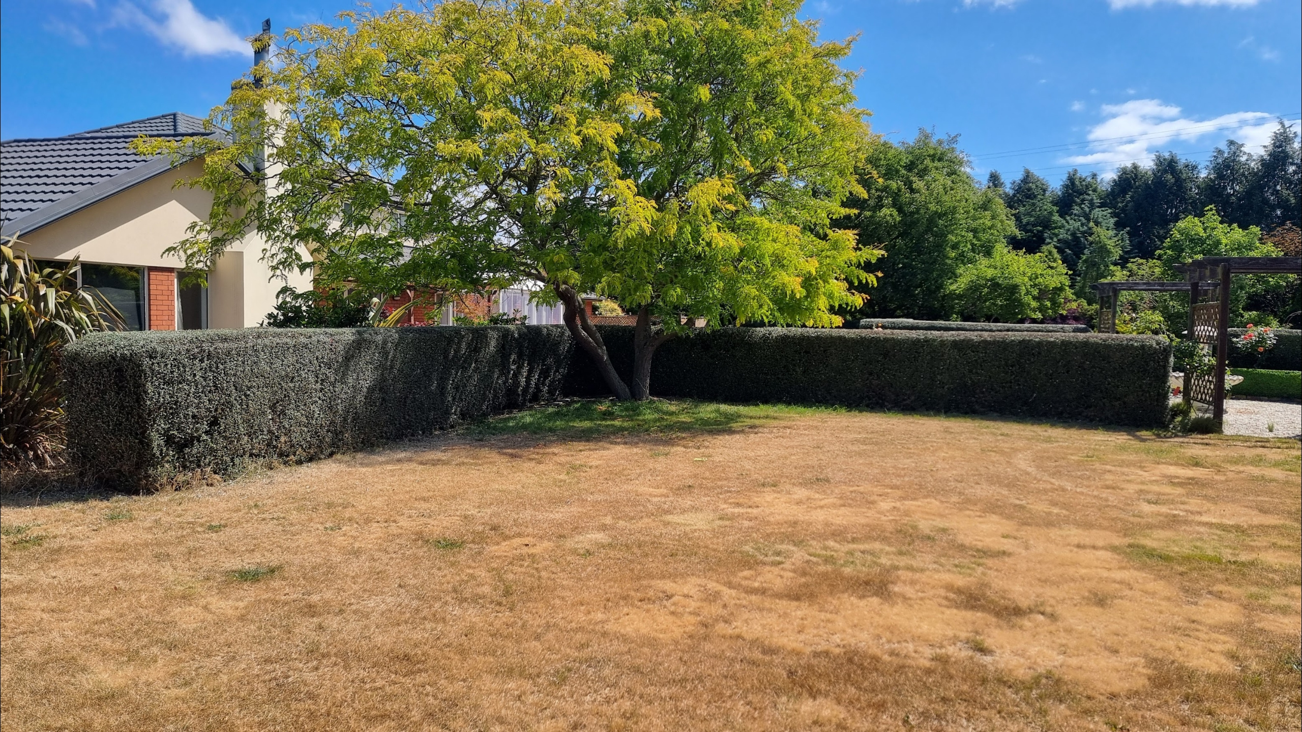 Garden maintenance and hedge trimming